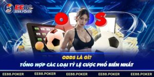 Tổng hợp các loại Odds phổ biết hiện nay